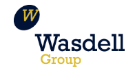 Wasdell Group